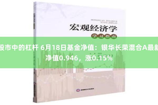 股市中的杠杆 6月18日基金净值：银华长荣混合A最新净值0.946，涨0.15%