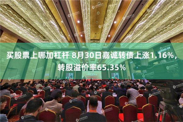 买股票上哪加杠杆 8月30日嘉诚转债上涨1.16%，转股溢价率65.35%