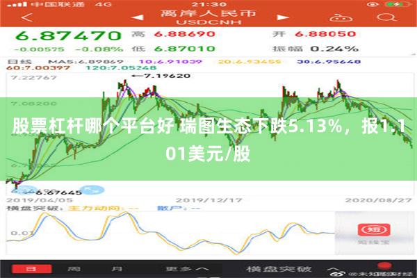 股票杠杆哪个平台好 瑞图生态下跌5.13%，报1.101美元/股