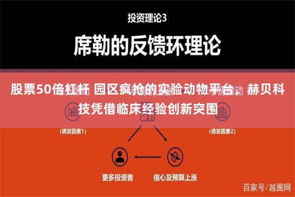 股票50倍杠杆 园区疯抢的实验动物平台，赫贝科技凭借临床经验创新突围