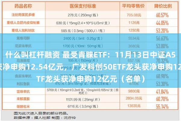 什么叫杠杆融资 最受青睐ETF：11月13日中证A500ETF摩根获净申购12.54亿元，广发科创50ETF龙头获净申购12亿元（名单）