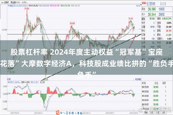 股票杠杆率 2024年度主动权益“冠军基”宝座“花落”大摩数字经济A，科技股成业绩比拼的“胜负手”