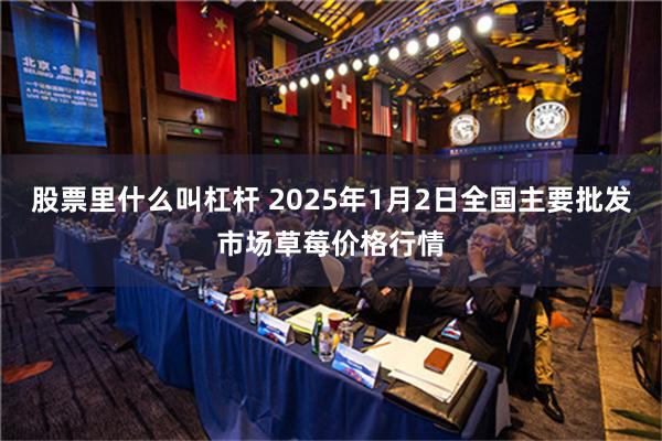 股票里什么叫杠杆 2025年1月2日全国主要批发市场草莓价格行情